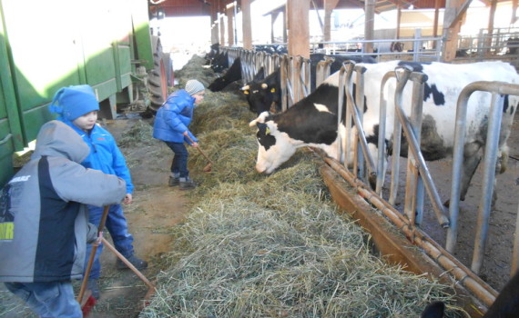 Lernort Bauernhof "Von der Kuh zum Käse" (Foto: Herderschule)