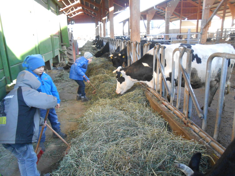 Lernort Bauernhof "Von der Kuh zum Käse" (Foto: Herderschule)