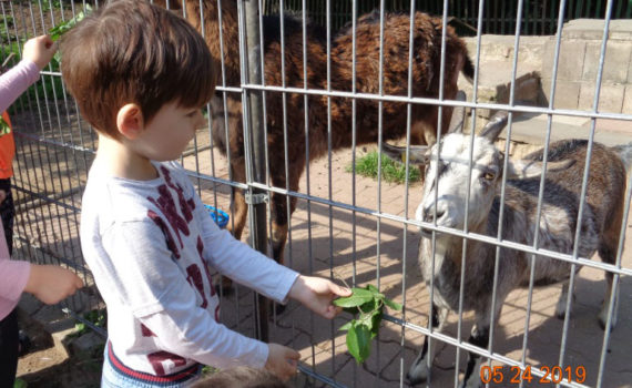 Kinder- und Jugendfarm (KiTa Meissnerweg)