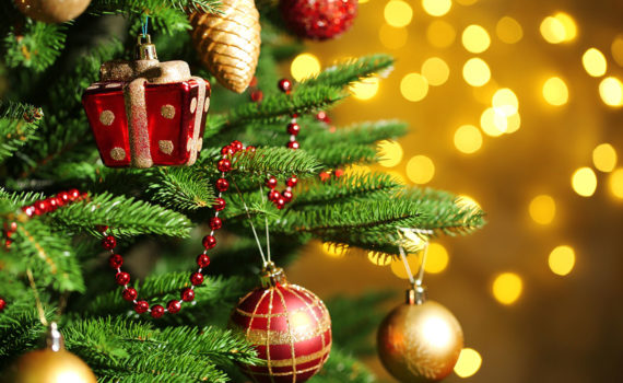 alle-meine-weihnachtsbaeume-kindervorlesung