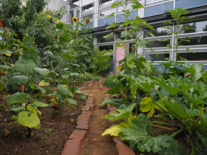 Garten- und Bienenprojekt (Erich Kästner-Schule)