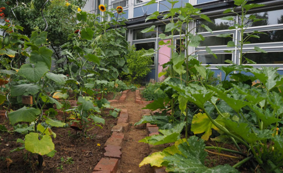 Garten- und Bienenprojekt (Erich Kästner-Schule)