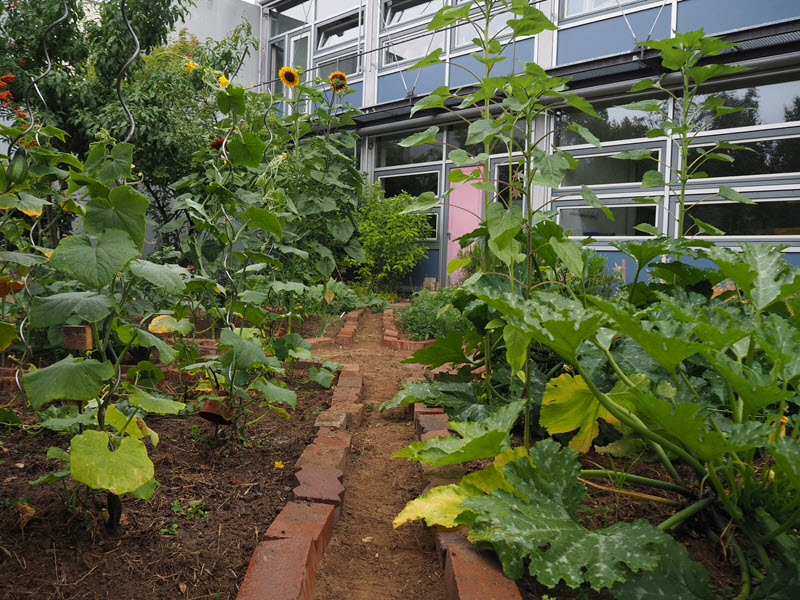 Garten- und Bienenprojekt (Erich Kästner-Schule)