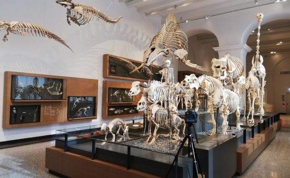 Videodreh im Hessischen Landesmuseum